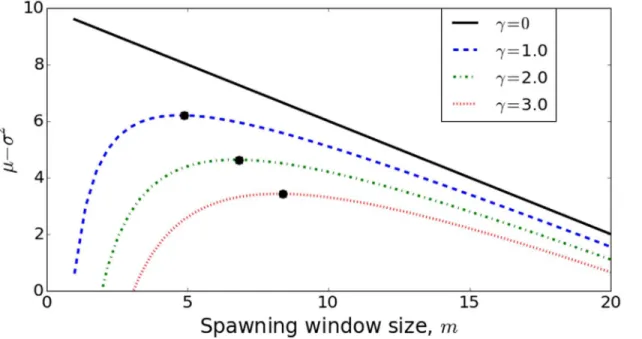 Fig 6. The objective function capturing mean-variance tradeoff, Γ (m) = μ(m) —γσ 2 (m), plotted over a range of spawning window sizes, m, for three distinct values of reproductive resilience, γ