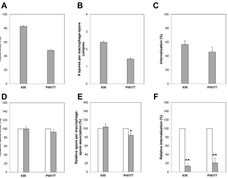 Figure 2. Adherence and internalization of C. difficile spores by Raw 264.7 cells. Monolayers of Raw 264.7 cells were infected at an MOI of 10 with Alexa- and biotoin-labeled C