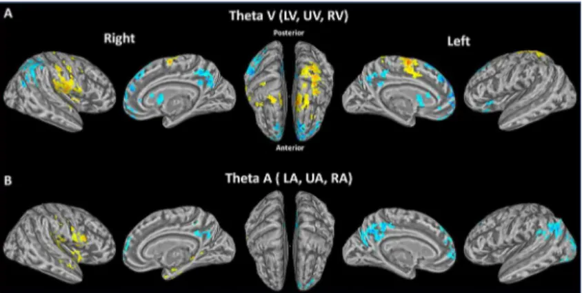 Fig 6. Modality specific interactions between theta and BOLD activity. (p &lt; 0.05, corrected, Red and yellow: positive relationship; blue: negative relationship)