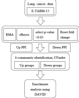 Fig 1.  Work flow of the present study. 