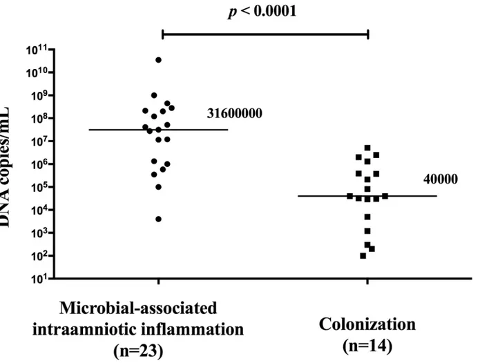 Fig 5. Amniotic fluid microbial loads of Ureaplasma species in preterm prelabor rupture membrane pregnancies that are complicated by the microbial-associated intraamniotic inflammation and microbial invasion of the amniotic cavity alone.