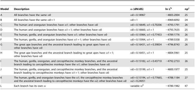 Table 3. Likelihood ratio tests of selective pressure on catarrhine MOXD2 gene a .