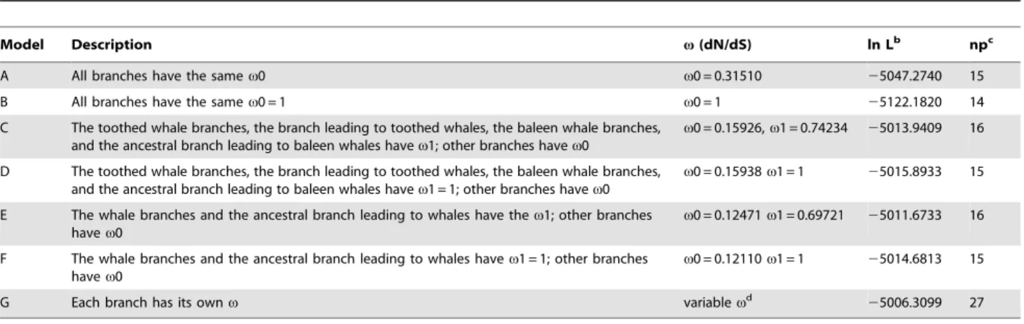 Table 4. Models and parameter estimates for likelihood ratio tests of selective pressure on whale MOXD2 gene a .