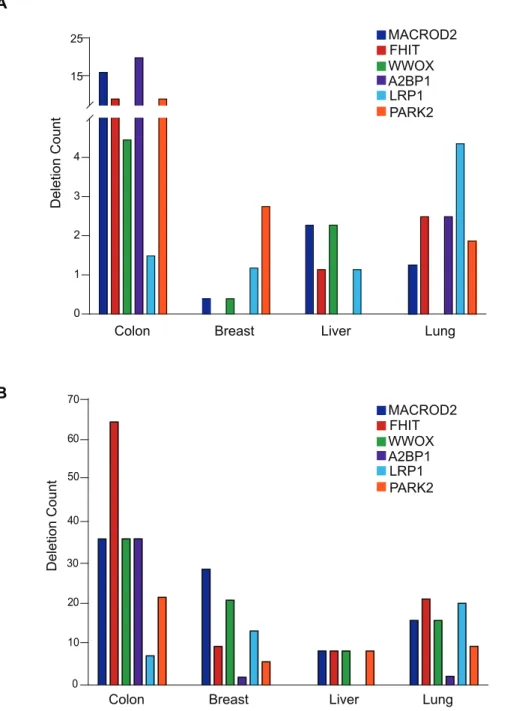 Figure 8. Deletion frequency of CFS-like genes in different tumor types and cancer cell lines