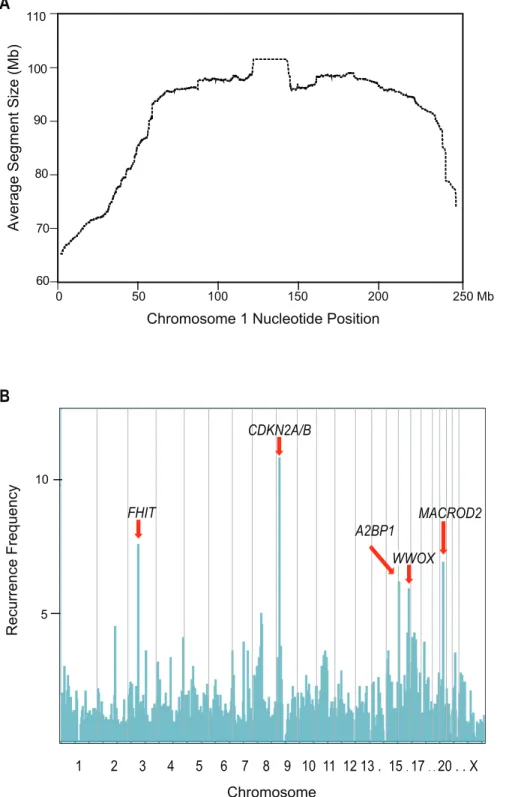 Figure 5A), indicating that this feature could be useful in predicting whether or not a given site of deletions was CFS-like.