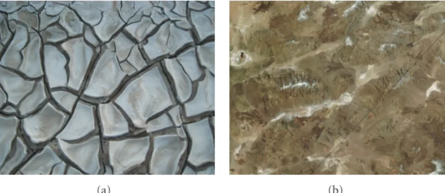 Figure 2: Images of Death Valley: (a) “cracked mud on the way to the borax haystacks,” by redteam, Creative Commons license, (b) a satellite image from NASA (public domain)