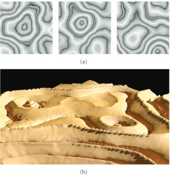 Figure 11: Family of terrains from TP in (3): (a) represented as grey-scale images, (b) rendered with 3D studio.