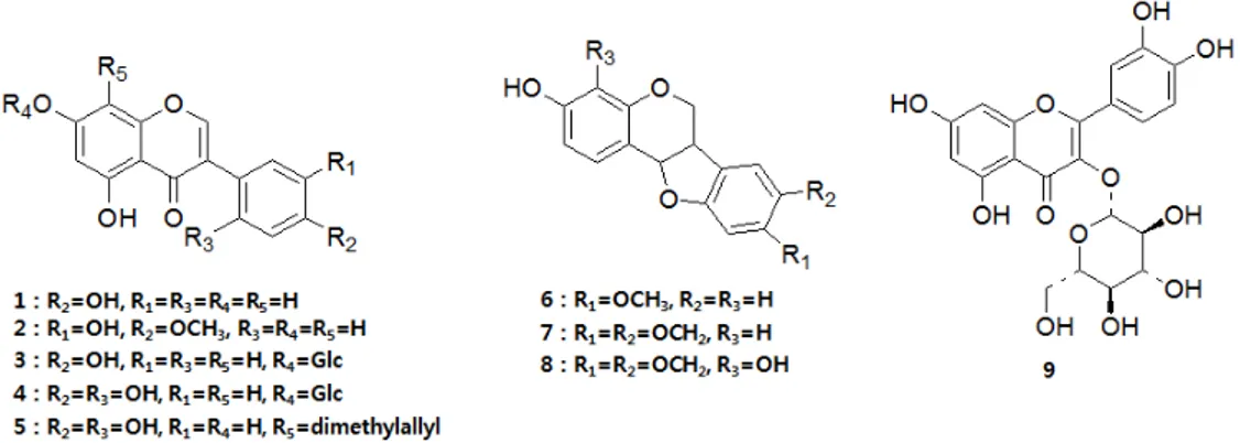 Figure 1. Structures of the compounds isolated from M. fauriei (1-9). 