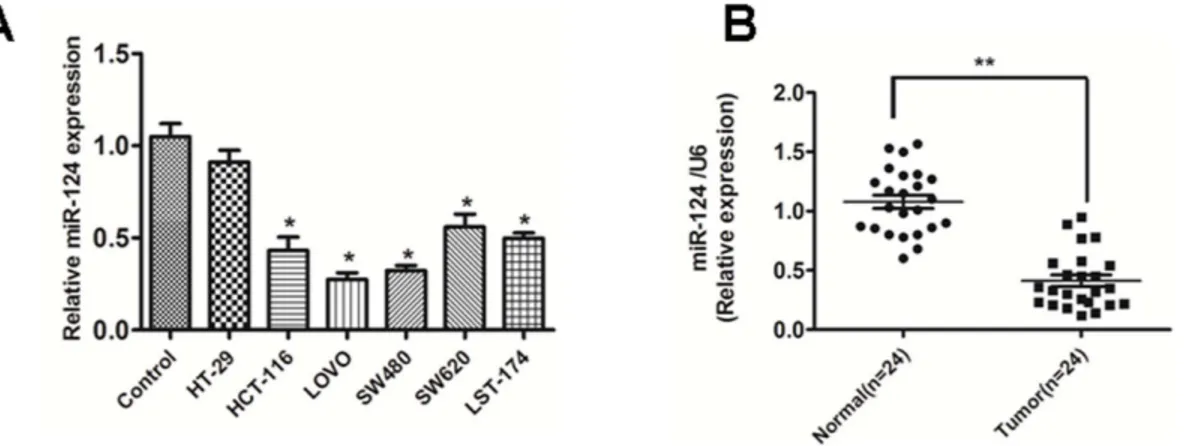 Figure 1. miR-124 is down-regulated both in primary CRC tissues and cell lines. (A) miR-124 was expressed at significantly lower levels in six CRC cell lines in comparison with normal colonic mucosa pooled from three healthy individuals