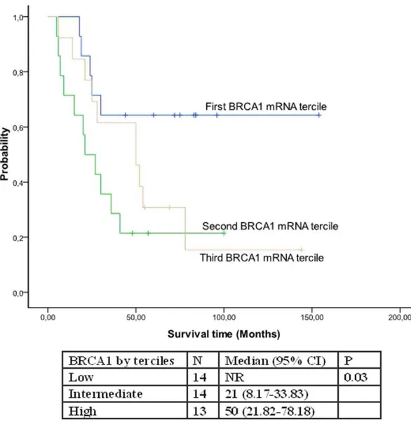 Figure 2. Overall survival according to BRCA1 mRNA levels.