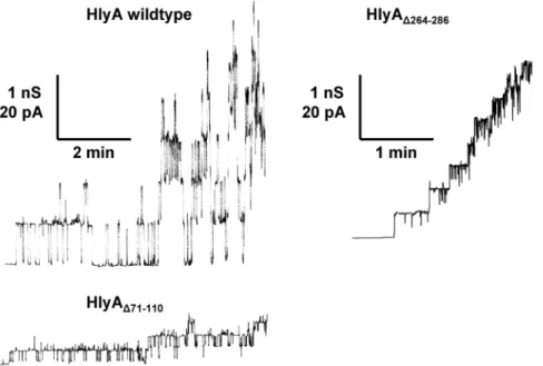 Figure 3. Single-channel recordings with E. coli HlyA, HlyA D71–110 , and HlyA D264–286 