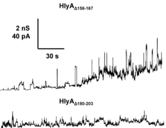 Figure 4. Single-channel recordings with HlyA D158–167 and HlyA D180–203 . Single-channel recordings of asolectin membranes were performed in the presence of 100 ng/ml HlyA D158–167 (upper trace) and 150 ng/ml HlyA D180–203 (lower trace)