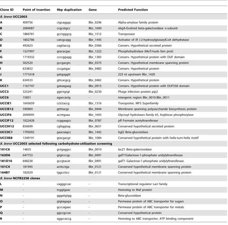 Table 3. Mapping transposon insertion sites in a random selection of transposon insertion mutants.