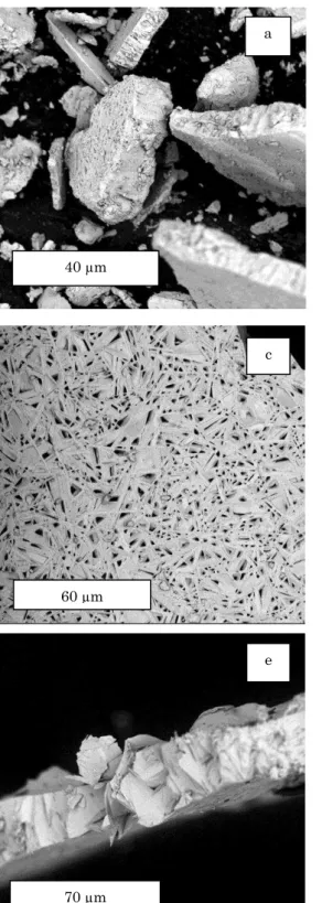 Fig. 1 – SEM images of melt spun p-Bi 0,5 Sb 1,5 Te 3  particles  component  was  determined  as   р      –   el ,  where  the 