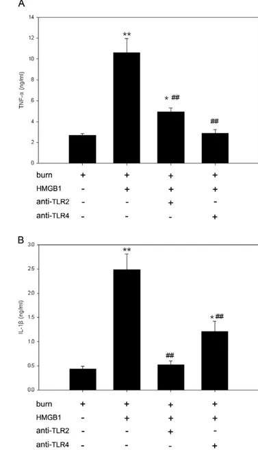 Figure 2. TLRs signaling are required for HMGB1-mediated TNF-a and IL-1b expressions in KCs of burn rats