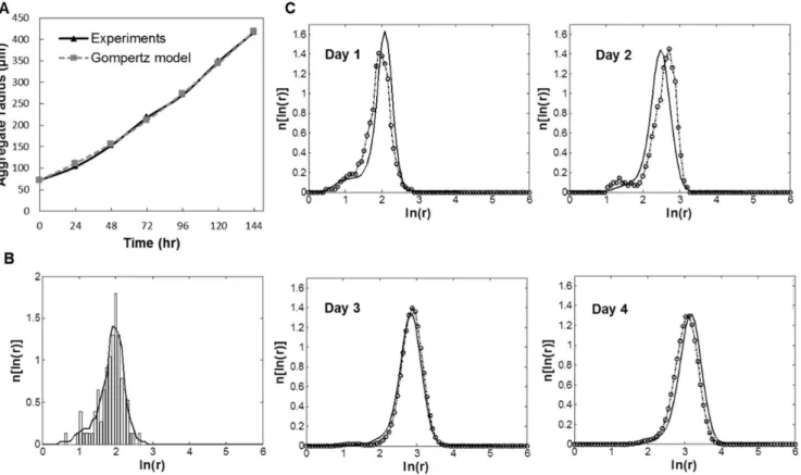 Table 2. Kernel parameter values at different agitation rates.