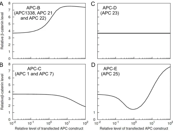 Fig. 2). As in an SW480 cell, the direct interaction in a normal cell is also inhibited by phosphorylation of the 20-aa repeat region in APC because of competition between phosphorylated APC and Axin for binding to ARM repeats 3 and 4 in b { catenin.