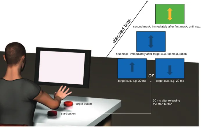 Figure 1. Sketch of the experimental setup. A visual cue, specifically an arrow pointing upwards or downwards, was presented after subjects released a start button (delay between releasing and presentation on the screen: 30 ms)