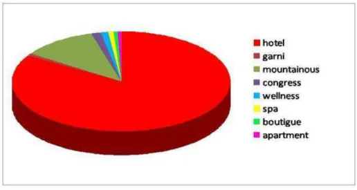 Fig. 7. Hotels category in 2008 