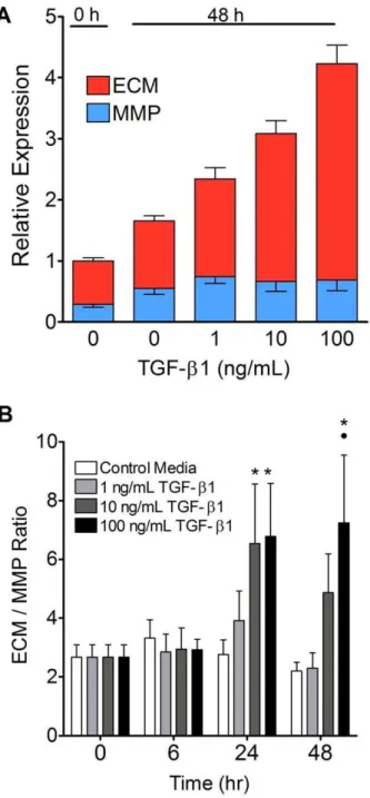 Figure 8. TGF-b1 tilted the balance of ECM and MMP gene expression in favor of ECM. (A) A comparison of the total ECM (includes fibronectin, collagen and proteoglycan genes) vs