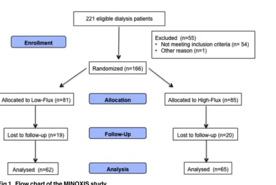 Fig 1. Flow chart of the MINOXIS study.