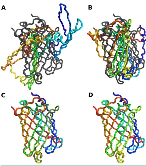 Figure 1 Reconstruction of protein backbone using varying degrees of modeling accuracy
