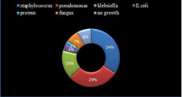 Fig. 1: Incidence of various microorganisms  isolated from 100 specimens in CSOM