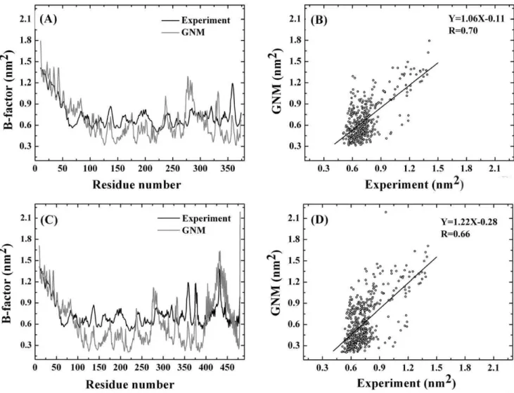 Figure 4 shows the motion correlation of each domain (i.e.