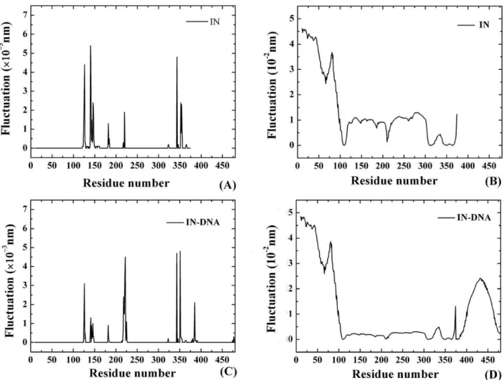 Figure 3. The fast and slow motion modes of PFV IN and IN-DNA systems. (A) Fast motion mode of IN