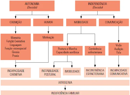 Figura 2. Síndromes Geriátricas e seu impacto na funcionalidade. 