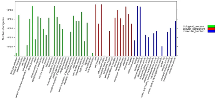 Figure 3. Gene Ontology classification of assembled unigenes. Total 29,666 unigenes were categorized into three main categories: Biological process (81,460, 40.21%), Cellular component (83,650, 41.29%) and Molecular function (37,497, 18.51%).