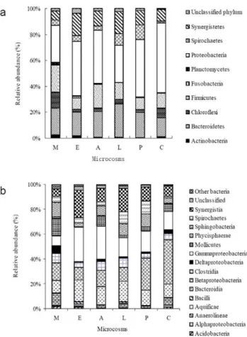 Figure 3. The abundances of the unique genera detected in bacterial phyla in the defined microcosm