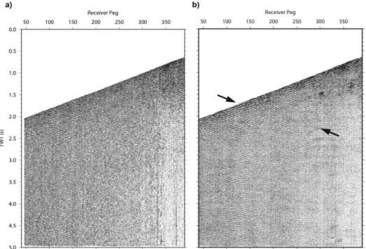 Figure 4. Application of FX-decon in pre-stack processing (a) before and (b) after FX-decon