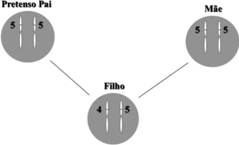 Figura 5 - Transmissão de alelos - mutação. 