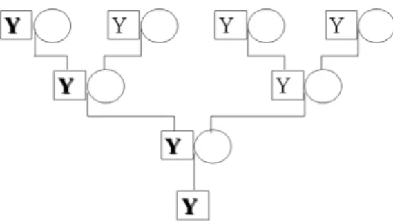 Figura 13 - Transmissão do cromossoma Y. 
