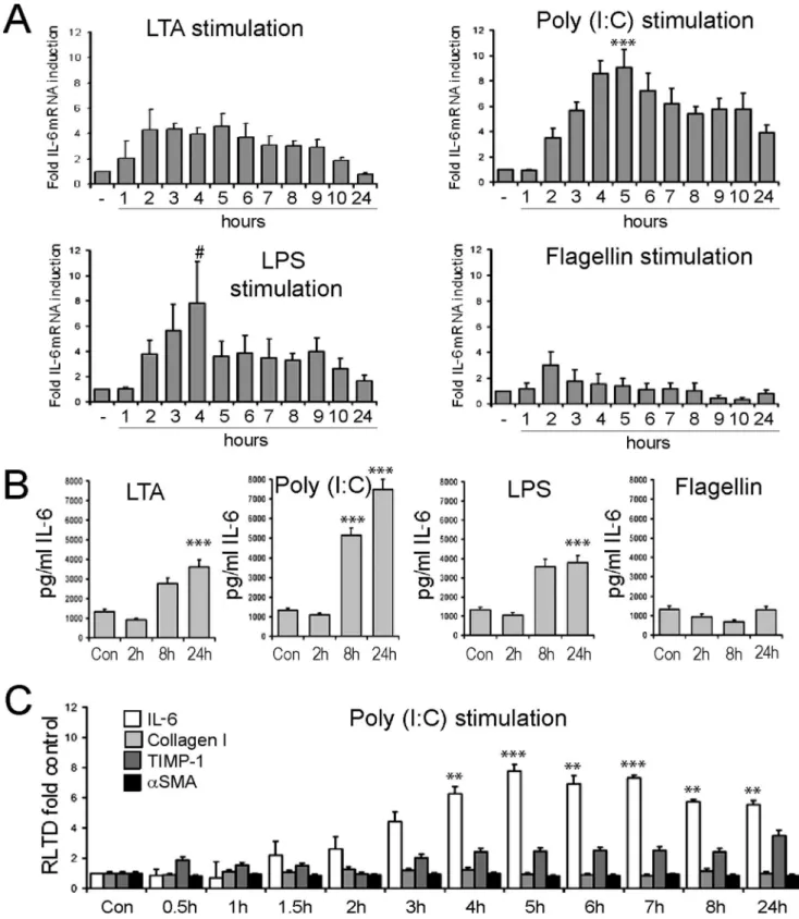 Figure 2. Hepatic stellate cells are responsive to stimulation by TLR ligands. (A) mRNA level of IL-6 was quantified by qRT-PCR in four separate preparations of activated rat HSCs (culture day 10) treated with TLR2 ligand (LTA, 100 ng/ml), TLR3 ligand (Pol
