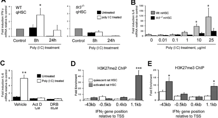 Figure 4. Interferon gamma and IL-6 expression are TLR3 mediated and loss of ability to induce IFNc in aHSCs is associated with transcriptional repression by Polycomb complex