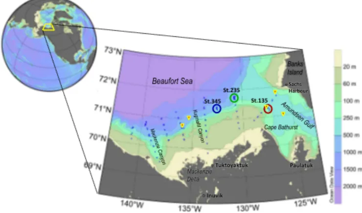 Figure 1. Map of the region and close-up on sampling area; blue, green and red circles represent areas of drifting trap deployment and yellow triangles sites of long-term moorings