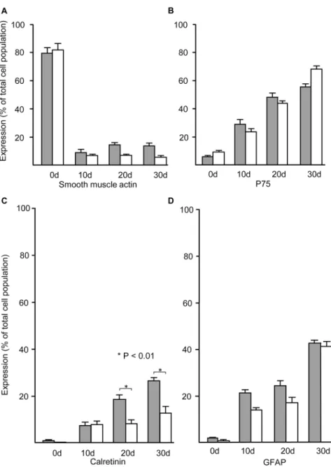 Fig 3. Time course of expression of cell-specific markers by cells immediately after dissociation from ganglionic and aganglionic Hirschsprung gut, and during neurosphere culture