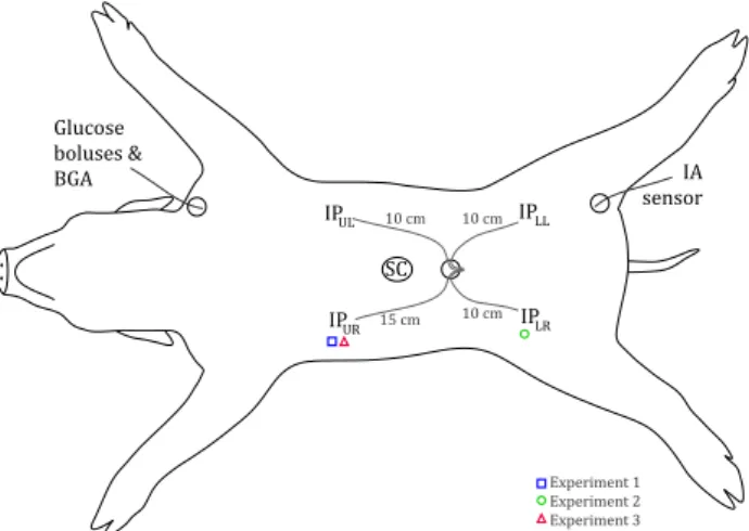 Figure 1: The GlucoSet sensor (Tierney et al., 2009;