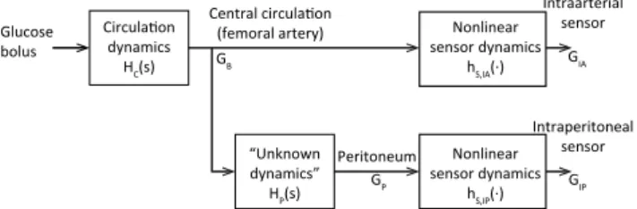 Figure 3: Model of glucose dynamics from infusion site to sensor sites, where G B (t) is the blood  glu-cose concentration; G P (t) is the peritoneal fluid (or peritoneal lining) glucose  concentra-tion; G IA (t) is the intraarterial (IA) sensor signal; G 