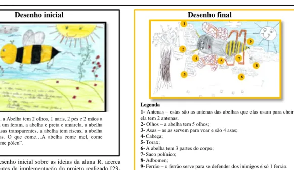 Figura 2 - Desenho final sobre as ideias da aluna R. acerca das  abelhas, após implementação do projeto realizado [11-06-2013]