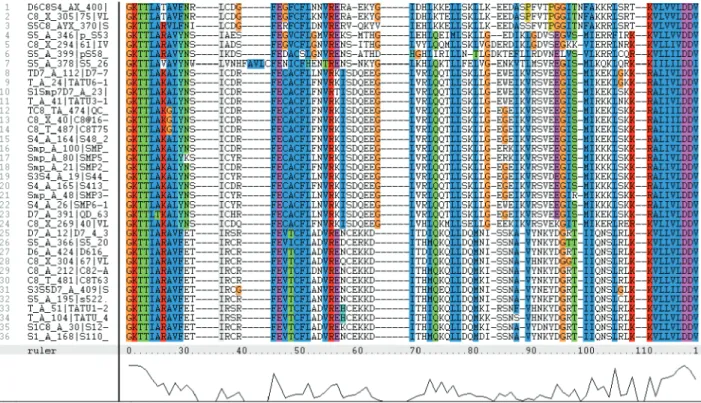 Figure 1.  Example of an alignment of aminoacid sequences derived from RGAs of Arachis spp