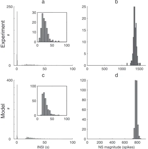 Figure 3. INSI and NS magnitude histograms. (a) Experimental INSI distribution in one representative culture, using 500 ms time bins
