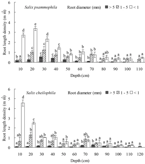 Fig 6. Root length density of Salix psammophila and S. cheilophila at different soil depth