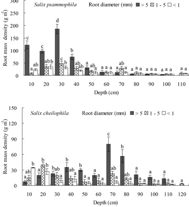 Fig 7. Root mass density of Salix psammophila and S. cheilophila at different soil depth