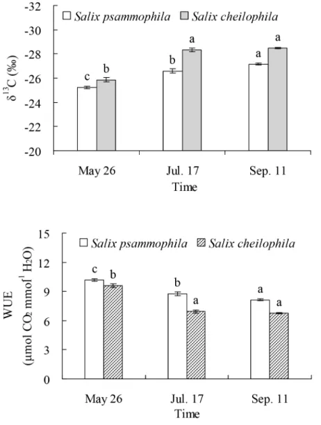 Fig 8. Leaf δ 13 C value and water use efficiency of Salix psammophila and S. cheilophila