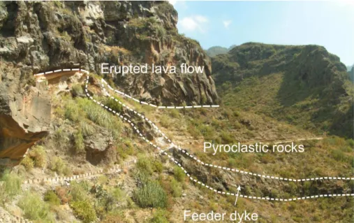 Fig. 4. Example of an inclined feeder dyke: the Infierno feeder dyke (Tenerife). As the dyke approached the surface it met a weak contact between two pyroclastic deposits and propagated into the contact – the contact being parallel with the stratification
