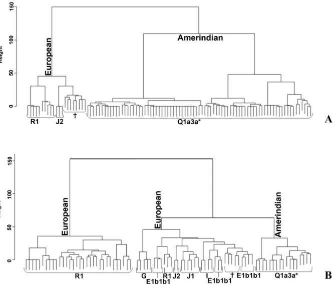 Figure 4. Cluster analysis in Wichı´ (A) and Criollos (B) based on 17 Y-STRs. {These clusters include some different haplogroups.