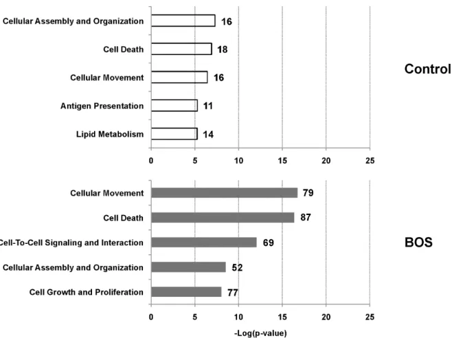 Figure 3. Top molecular and cellular biofunctions identified from protein substrates. Proteins identified from the sequenced peptides were used in Ingenuity Pathway Analysis to determine the molecular and cellular function of the substrate proteins